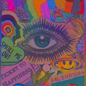 Meet your Posher, Tashi